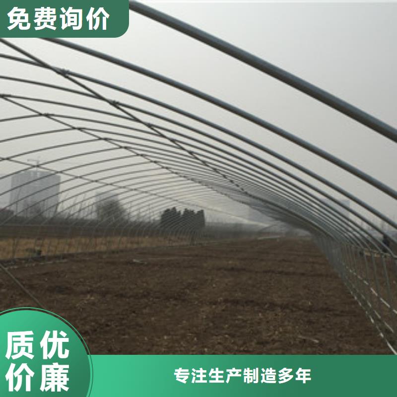 大棚管扁钢价格地道当地公司