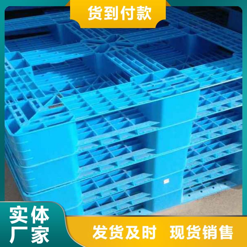 塑料托盘-塑料托盘厂家好品质用的放心实拍展现