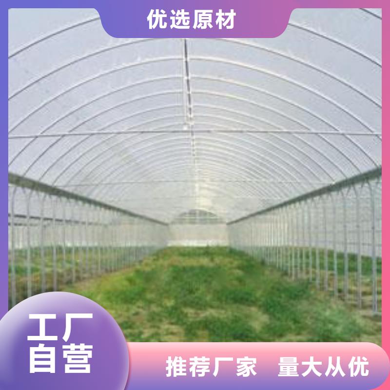 镀锌大棚管钢结构喷漆焊接实体厂家支持定制厂家直营