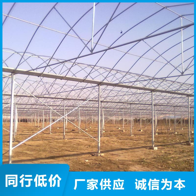 镀锌大棚管,异型紫铜排厂家直销货源充足服务周到