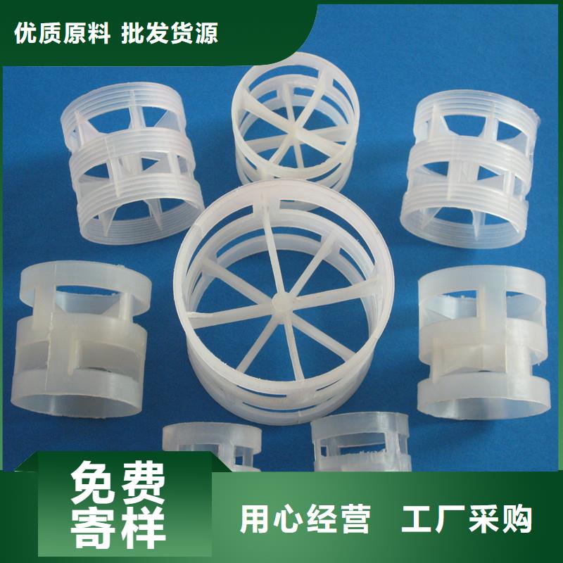 鲍尔环沸石贴心服务实时报价