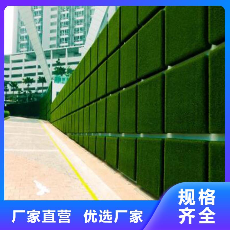 草坪围挡【人造草坪围挡】实力商家供货稳定诚信为本
