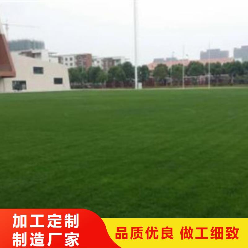 【人造草坪-塑胶跑道厂家支持大小批量采购】专业设计