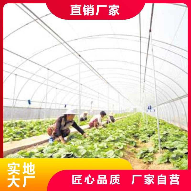 【大棚管】温室大棚管用心经营当地厂家