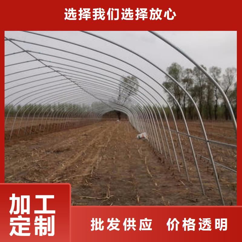 大棚管温室大棚管精工细致打造精选好货