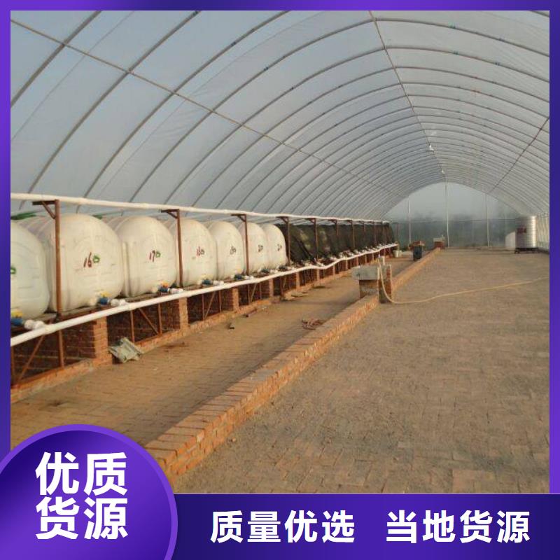 大棚管农业养殖大棚管质量安心准时交付