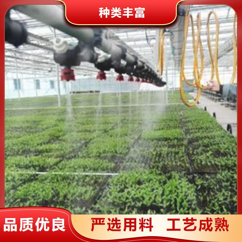 大棚管-【智能温室大棚】实力公司当地供应商