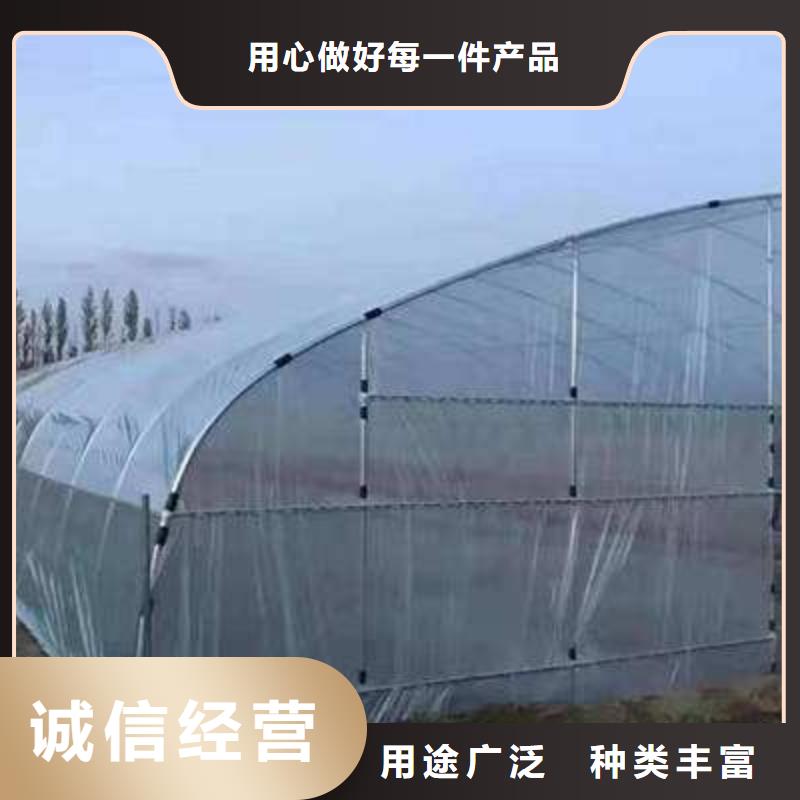 大棚管_椭圆管温室大棚一致好评产品准时交付