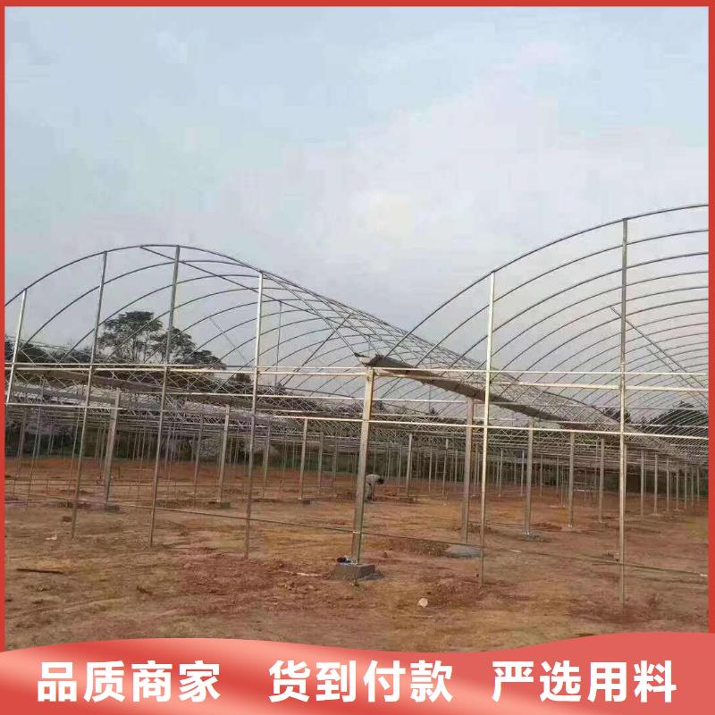 【大棚管】蔬菜温室大棚管实体厂家支持定制好品质经得住考验