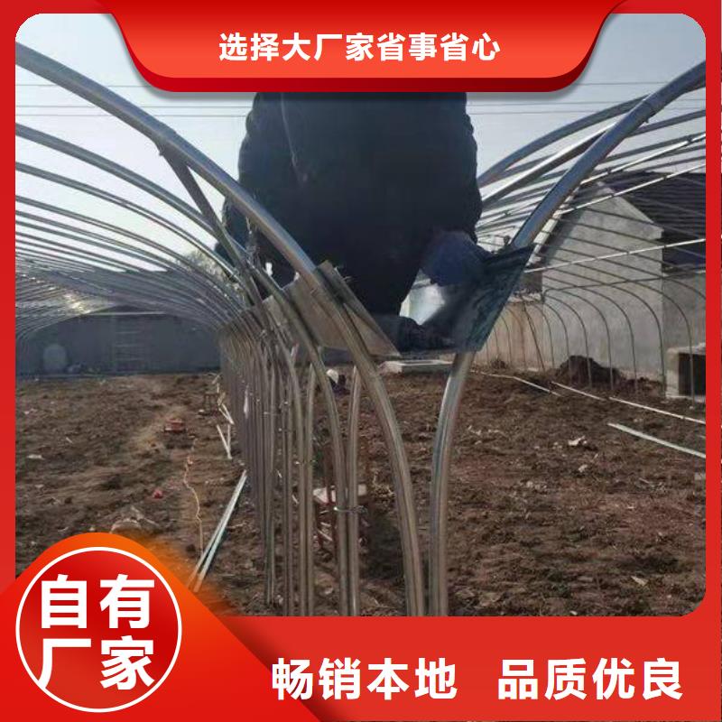 大棚管连栋大棚管今日新品当地公司