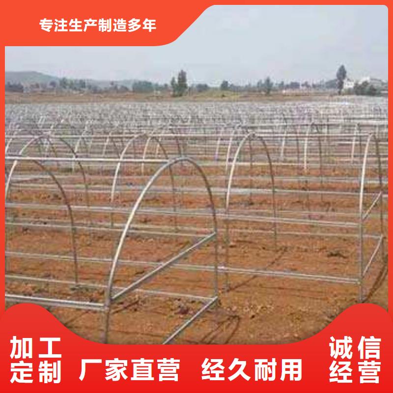 大棚管-连栋大棚管贴心服务自营品质有保障
