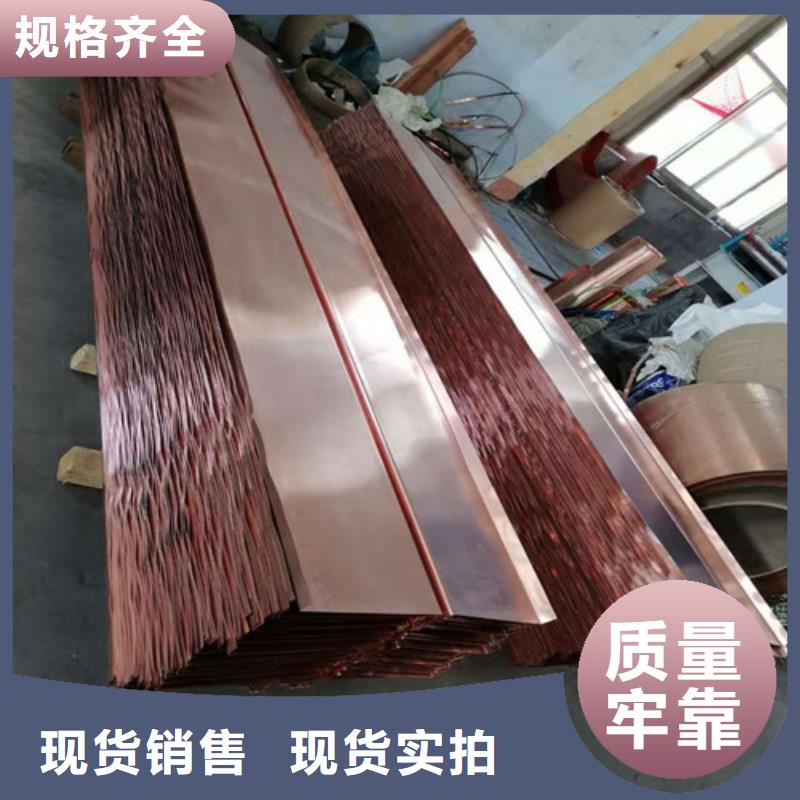 铜排铜片凸结点钢塑土工格栅好品质经得住考验本地公司