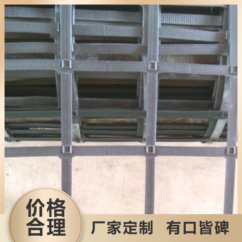 钢塑土工格栅【三维植被网】来图定制专注生产制造多年