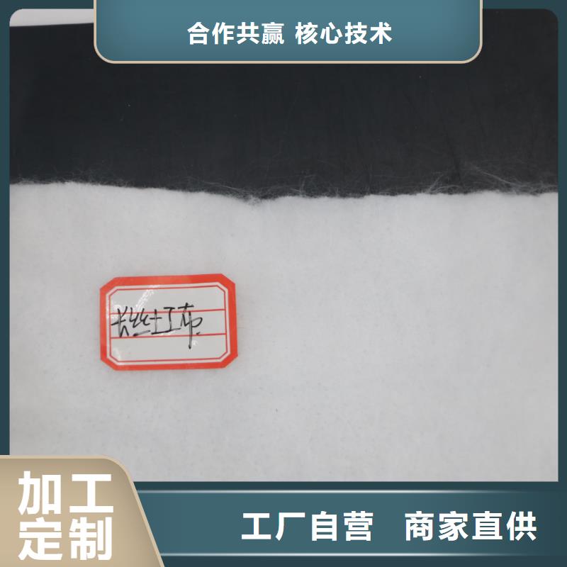土工布PP焊接土工格栅专业生产N年满足您多种采购需求