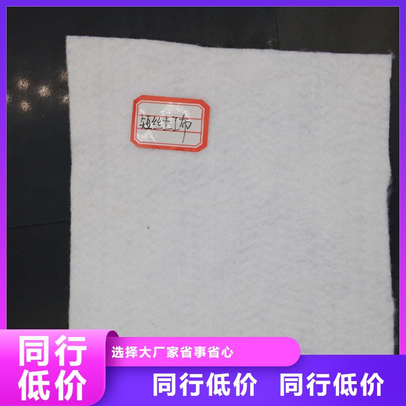 土工布双向拉伸塑料格栅N年生产经验多年行业积累