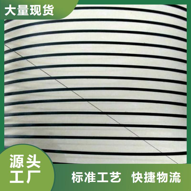 单向塑料土工格栅双向塑料土工格栅专业厂家细节决定成败