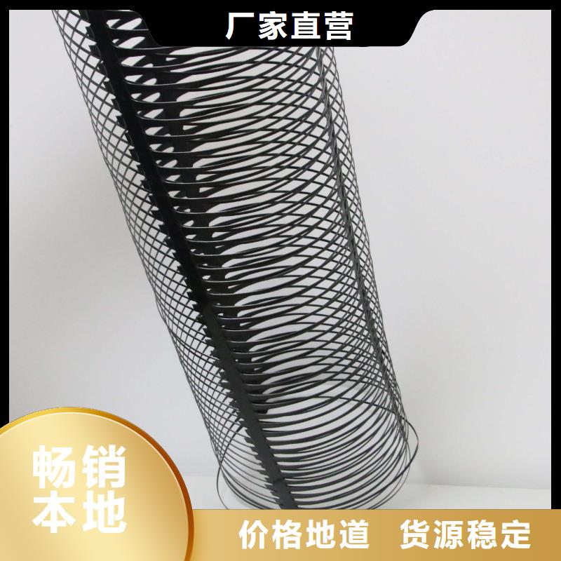 单向塑料土工格栅-城建土工膜一站式供应同城经销商