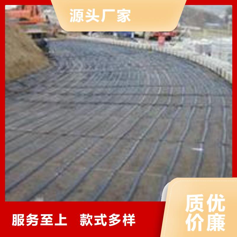 【单向塑料土工格栅PVC防水卷材有口皆碑】真实拍摄品质可靠