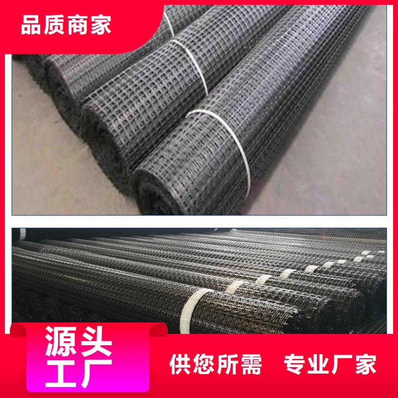 双向塑料土工格栅防渗土工膜经验丰富品质可靠当地公司