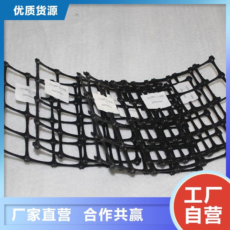 双向塑料土工格栅土工布量大从优专业完善售后