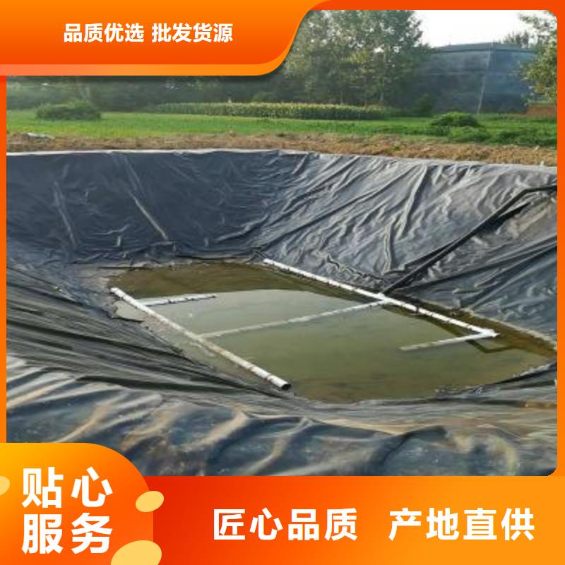 土工膜玻纤土工格栅经验丰富质量放心当地公司