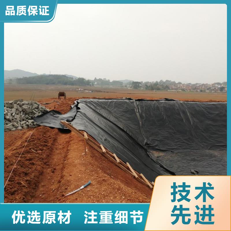 【土工膜聚乙烯土工膜产地工厂】贴心服务