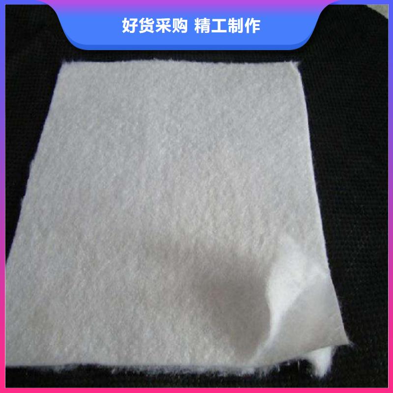 复合土工膜HDPE土工膜实地大厂本地公司