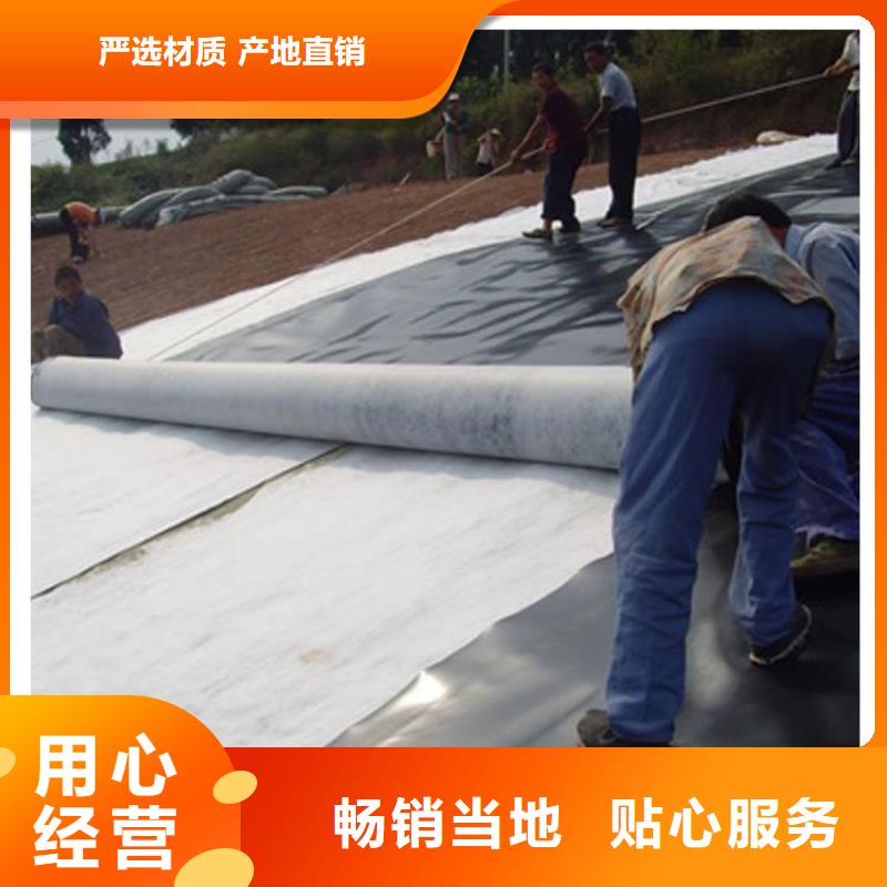 复合土工膜毛细排水板专心专注专业货源稳定