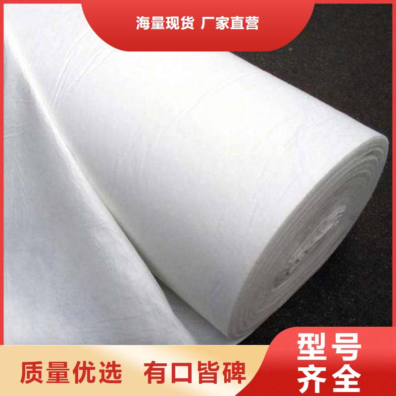 复合土工膜PP焊接土工格栅实体厂家支持定制源头厂家量大价优