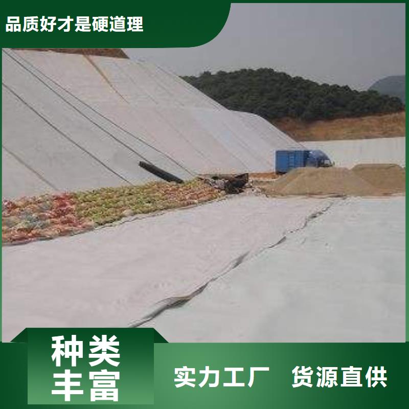 复合土工膜_PP焊接土工格栅源头直供同城厂家
