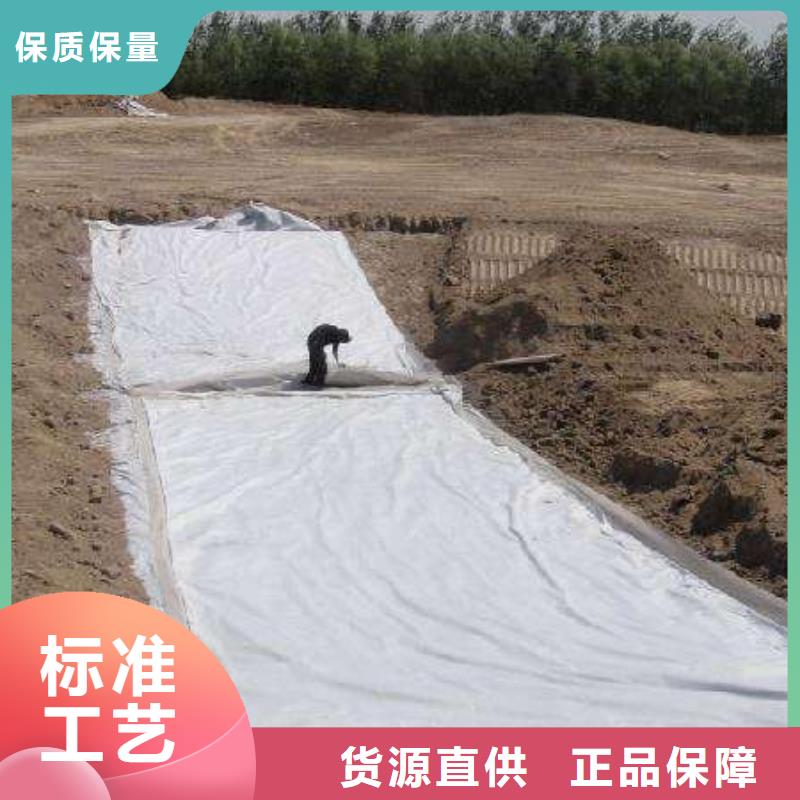 复合土工膜防渗土工膜出厂价现货