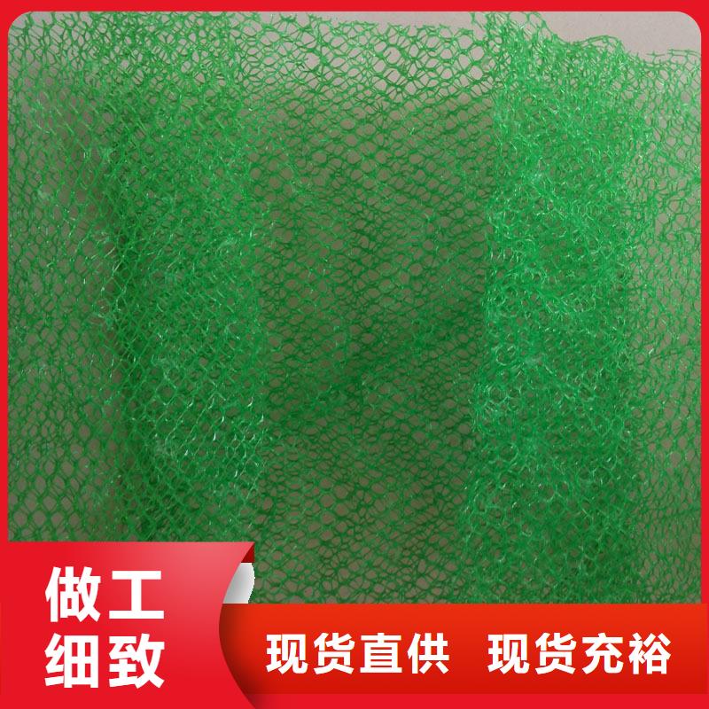 三维植被网土工滤网满足客户所需当地服务商
