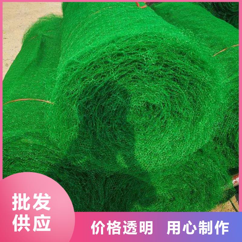三维植被网PVC防水卷材物流配货上门同城经销商