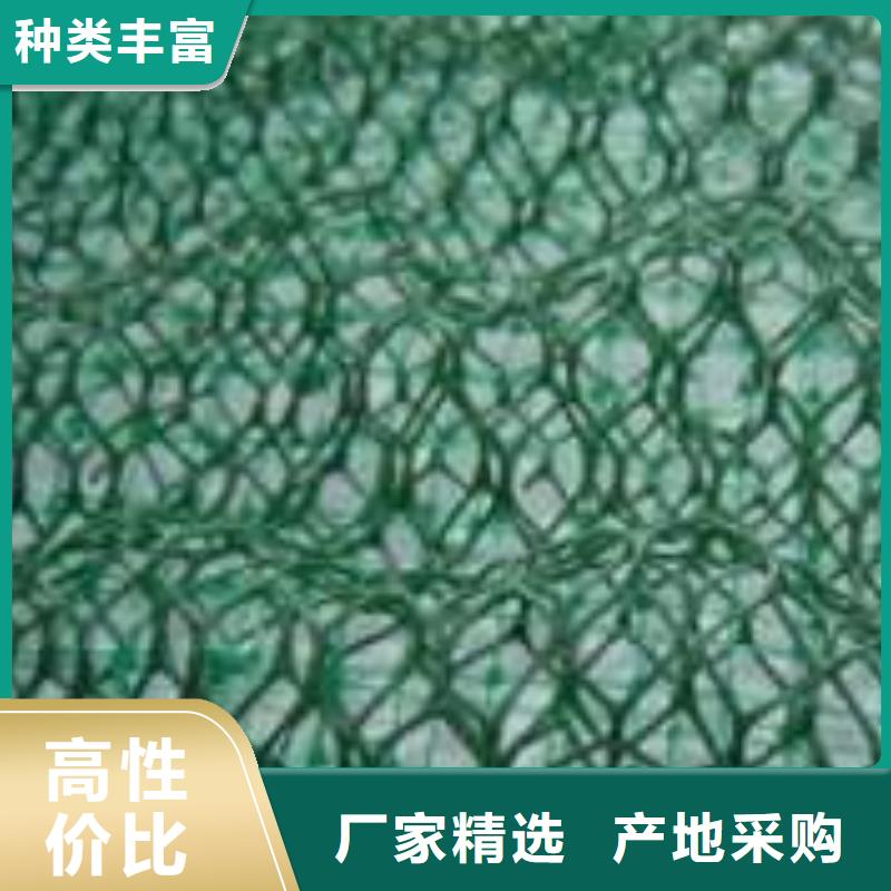 三维植被网工厂价格库存丰富