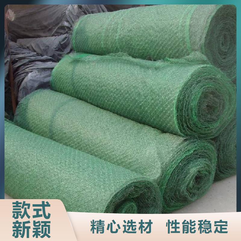 三维植被网毛细排水板供货及时价格有优势