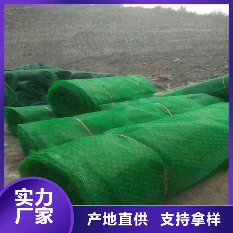 三维植被网膨润土防水毯好品质售后无忧值得买