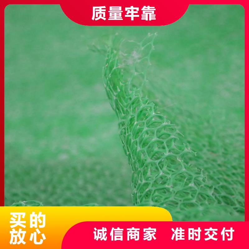 三维植被网-PVC防水卷材真正让利给买家快速物流发货
