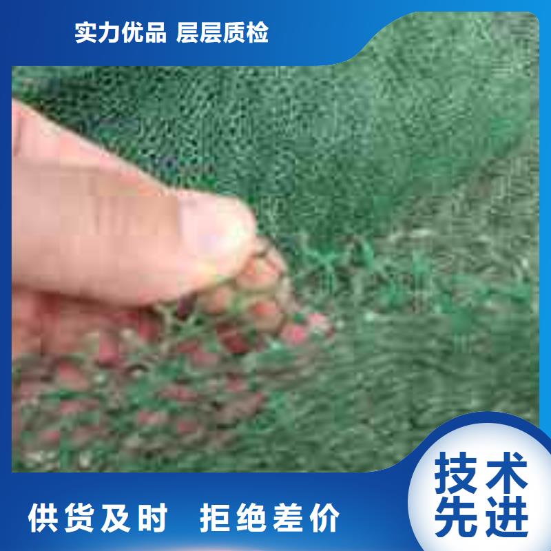 三维植被网蜂巢格室品质保证实力见证一站式服务
