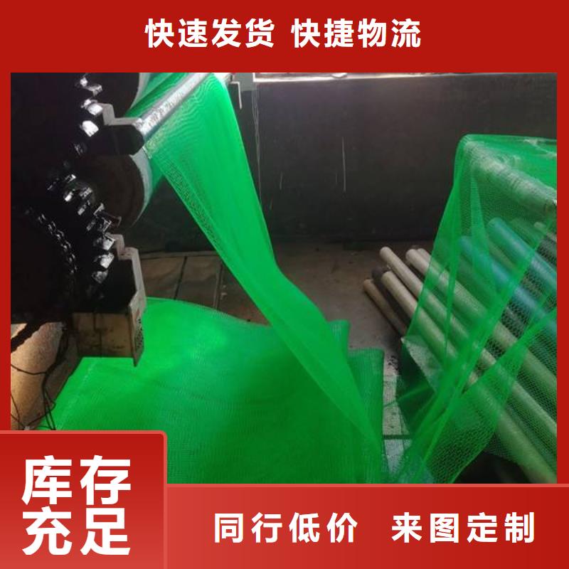 三维植被网规格齐全物流配货上门