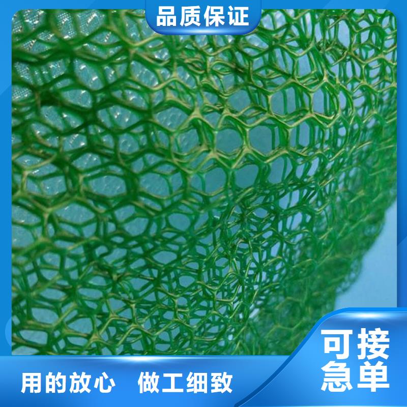 三维植被网PP焊接土工格栅精工细作品质优良品质卓越