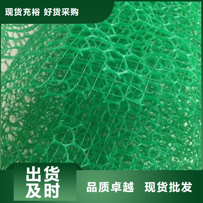 【三维植被网_HDPE土工膜今年新款】来图加工定制