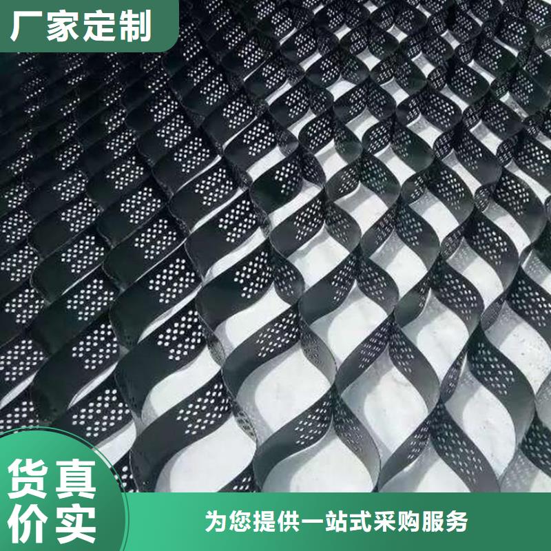 【土工格室城建土工膜优良材质】本地货源