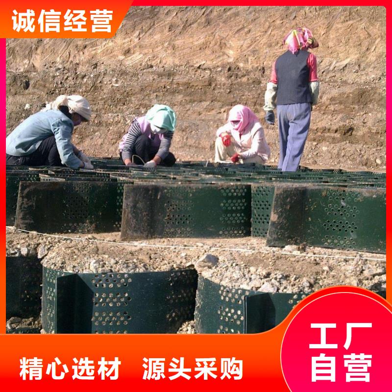 【土工格室防渗膜严选好货】同城品牌