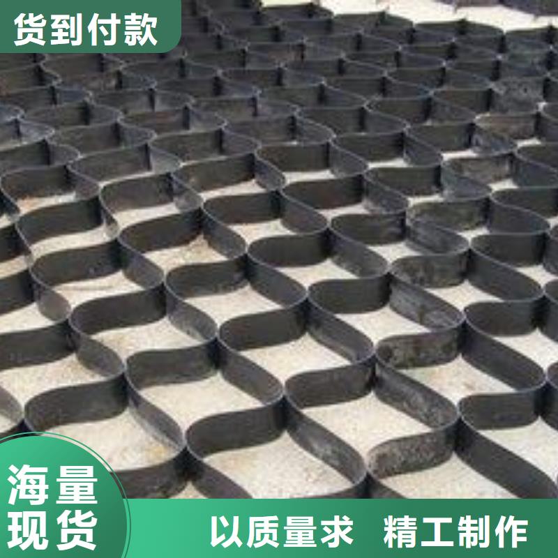 土工格室HDPE土工膜用品质说话本地公司