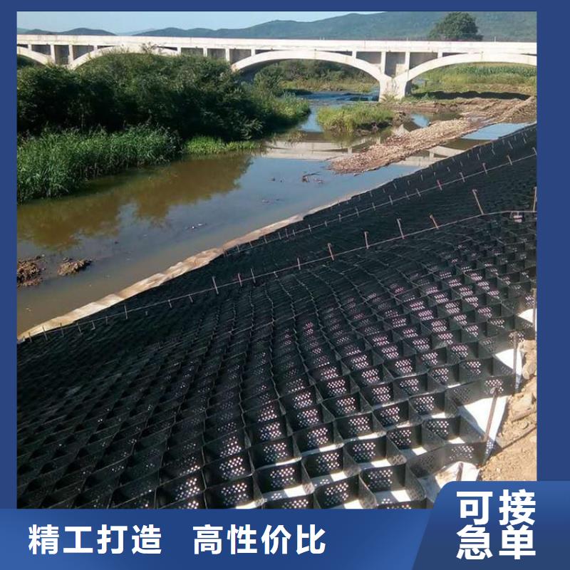 土工格室HDPE土工膜支持批发零售适用范围广
