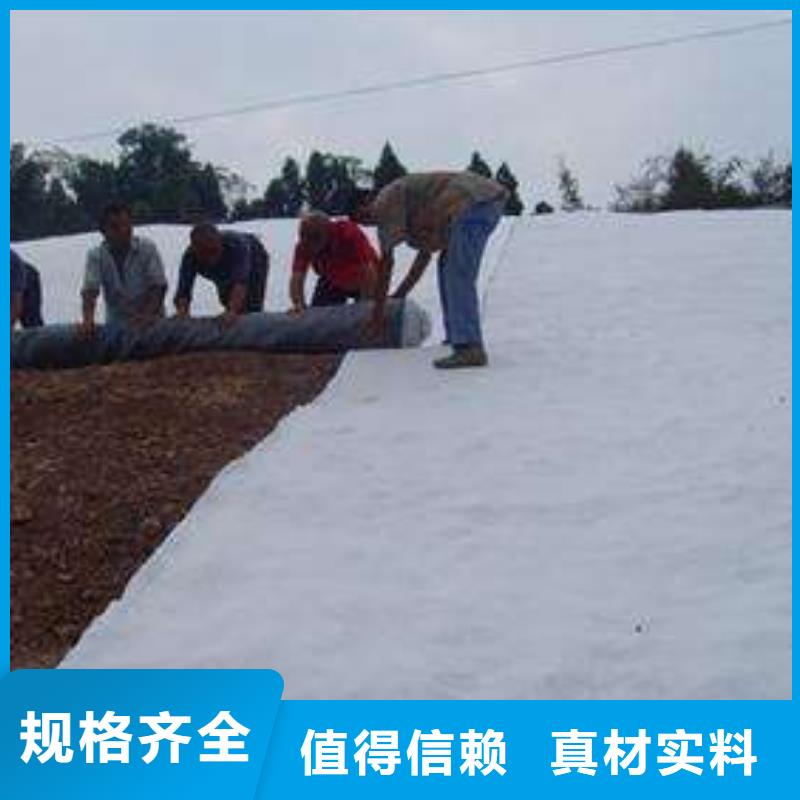 膨润土防水毯-三维土工网垫高质量高信誉同城生产商