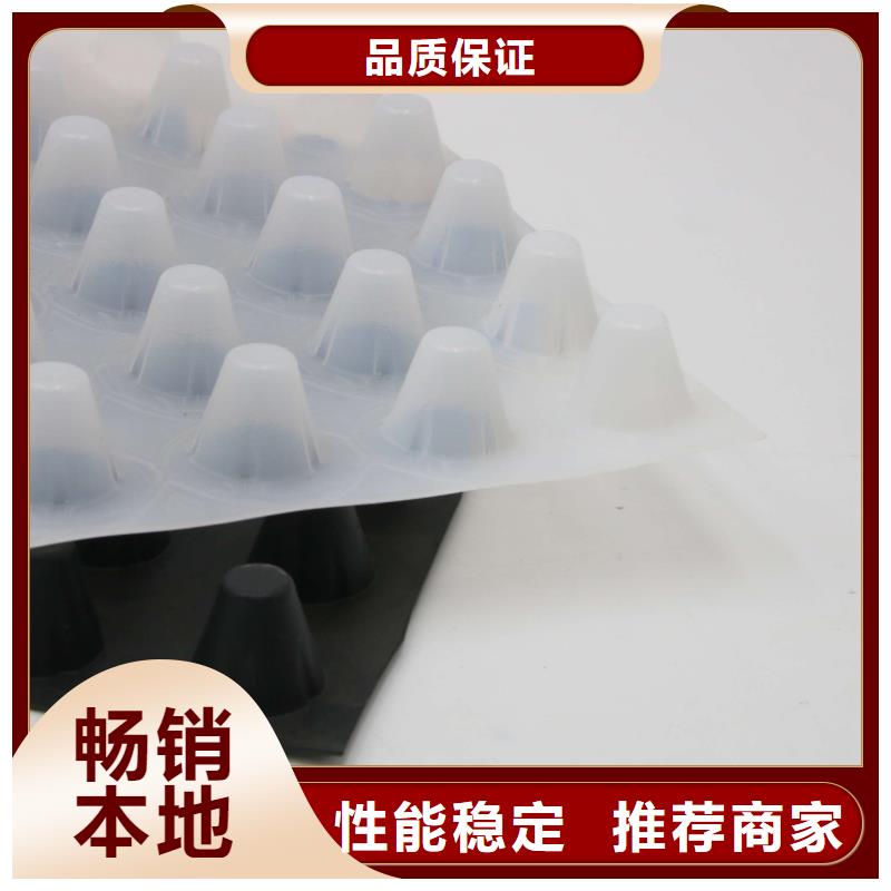 【排水板土工布颜色尺寸款式定制】工程施工案例
