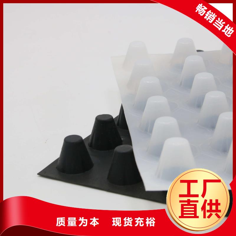 【排水板双向塑料土工格栅应用领域】同城货源