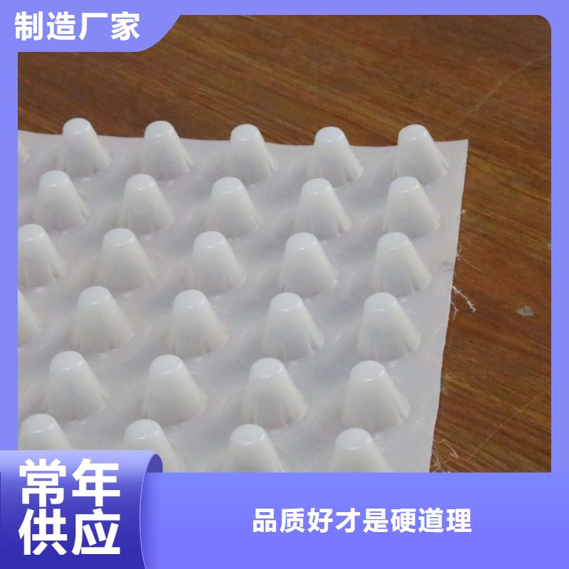 排水板PP焊接土工格栅一站式供应厂家讲信誉保质量