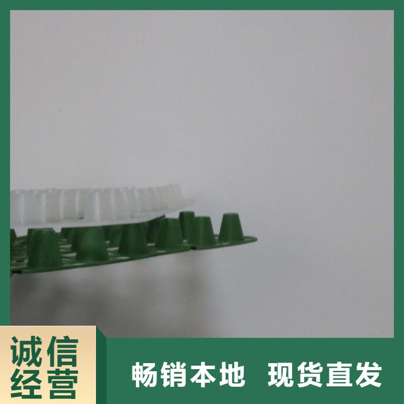排水板土工格室品质保障售后无忧匠心制造